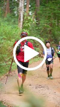 BIB:  <button type="button" onclick="openModal(26816774)" class="btn btn-primary btn-sm float-right" data-toggle="modal" data-target=".modal-high-quality">
                <i class="fa fa-download"></i> Download
                </button>